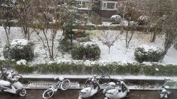 -THE QUEEN(北京店)