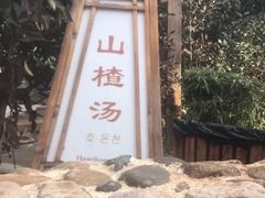 -观唐（国际）度假村温泉