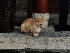 -万寿八仙宫