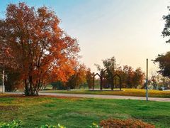 -白鹭湾湿地公园