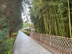 -春晖园度假酒店温泉