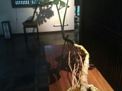 -ZEN采蝶轩·粤味臻鲜·手作点心·商务宴请(泰州店)