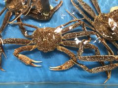 -龙宴海鲜城(经中路店)