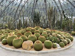 -深圳仙湖植物园