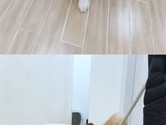 -李小姐の猫咖啡馆(五角场店)