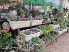 -陈记烧鹅茶餐厅(世和路店)