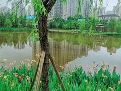 -沐仙湖湿地公园