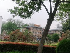 -龙门李家三旦羊肉汤馆