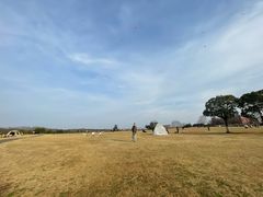 -紫金山山顶公园