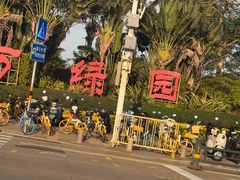 -万绿园