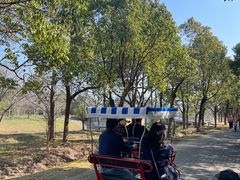 -上海海湾国家森林公园