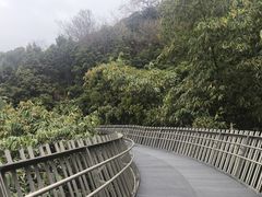 -福道