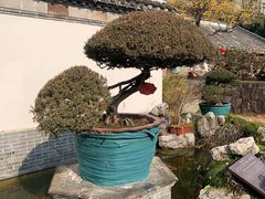 -水绘园