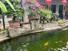 -猪肉婆私房菜(容桂总店)