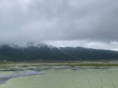 -腾冲北海湿地
