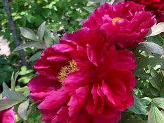 -狼山风景名胜区