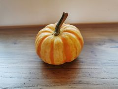 -三忘湖 SWANSEEN(柳荫公园店)