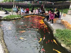 -成飞公园