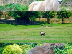 -乐和乐都主题乐园