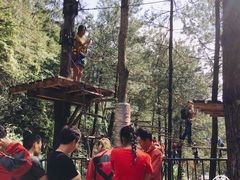 -梦幻奥陶纪景区