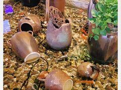 -同仁四季椰子鸡(宝安壹方城店)