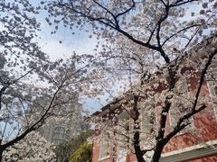 -浙江省杭州高级中学(贡院校区)