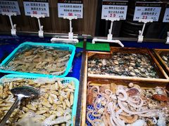 水产区-船歌·鱼水饺青岛菜(金狮广场店)
