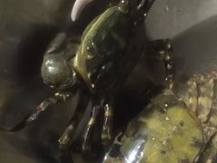 -青岛第三海水浴场