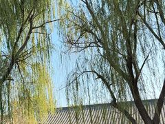 -长兴太湖图影湿地文化园