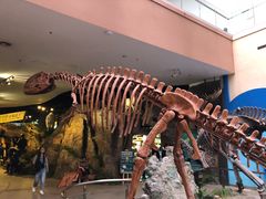 -陕西自然博物馆