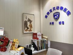 -中农大我爱我爱24h动物医院·中医针灸·猫专科·骨科医疗中心(双井店)