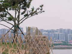 -小麦岛公园