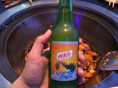 -挂雪铁锅炖大鹅