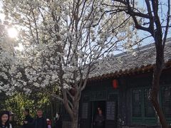 -王家大院