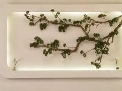 -韵秋荷(宝山龙湖天街店)
