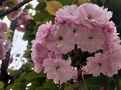 -首开·龙湖成都西宸天街