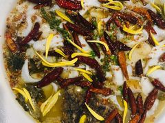 老坛子酸菜鱼-新太二·鲜料川菜(东汇城店)