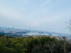 -紫金山山顶公园
