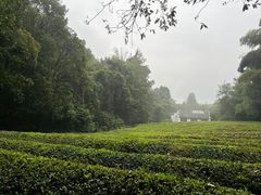 -敬亭山风景名胜区