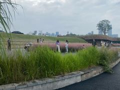 -中国西部国际博览城