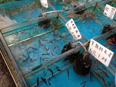 -清平路水族市场