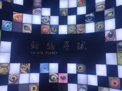 -重庆自然博物馆(新馆)