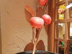 -柿子树炭烤羊腿(金台路店)