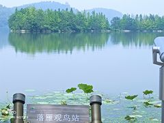 -东湖落雁景区