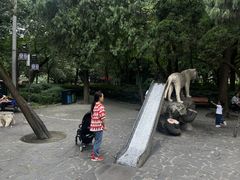 -房湖公园