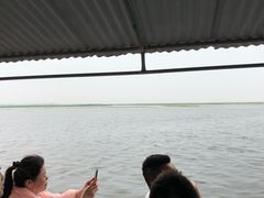 -白洋淀景区