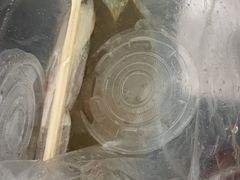 -信行丰炖品皇店(光孝路店)
