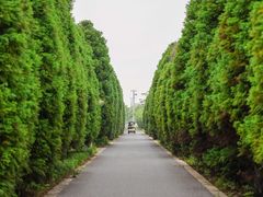 -苏州太湖国家湿地公园