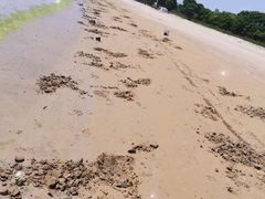 -北戴河东海水浴场