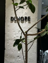 -DL HOPE造型